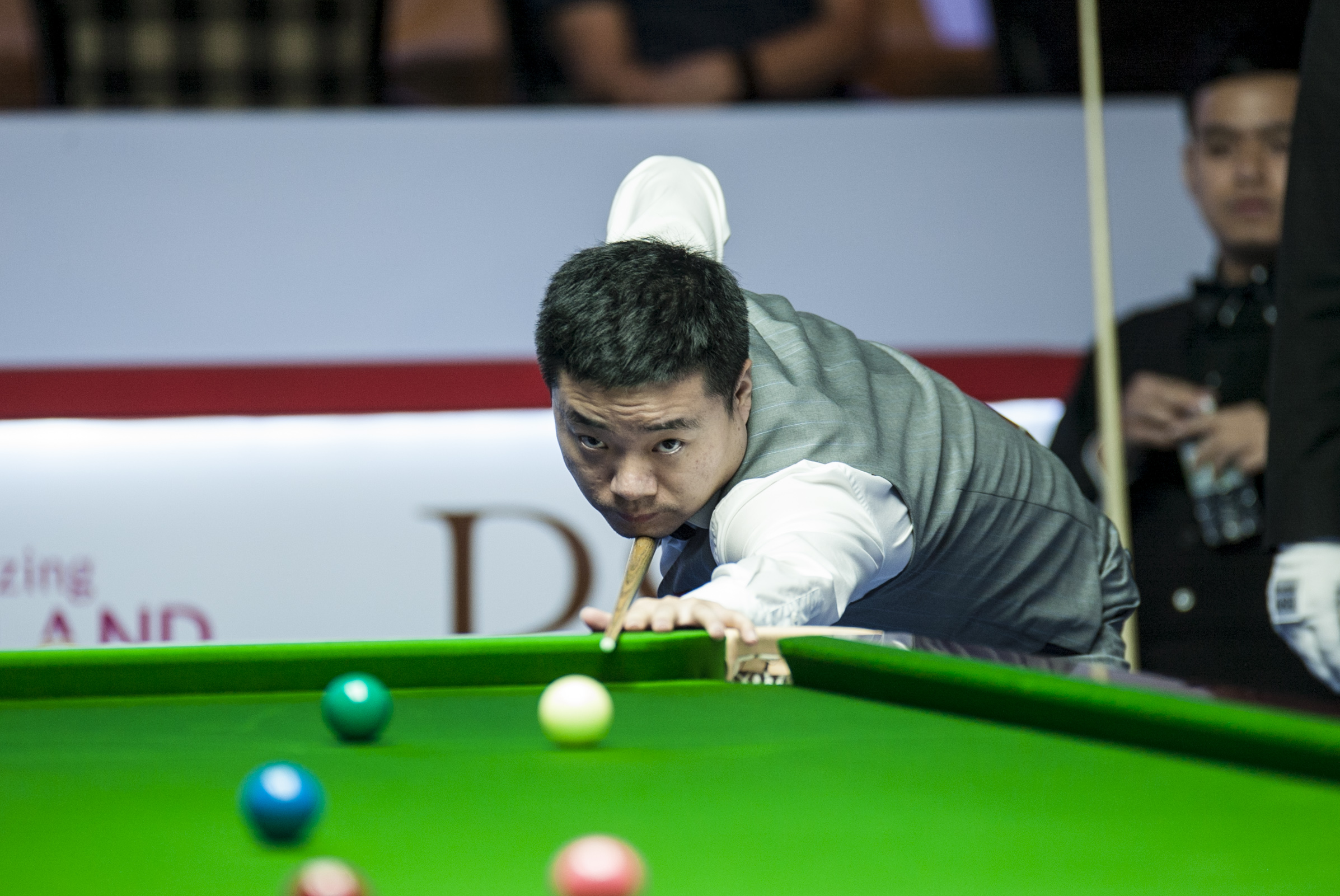 我们期待 我们期待