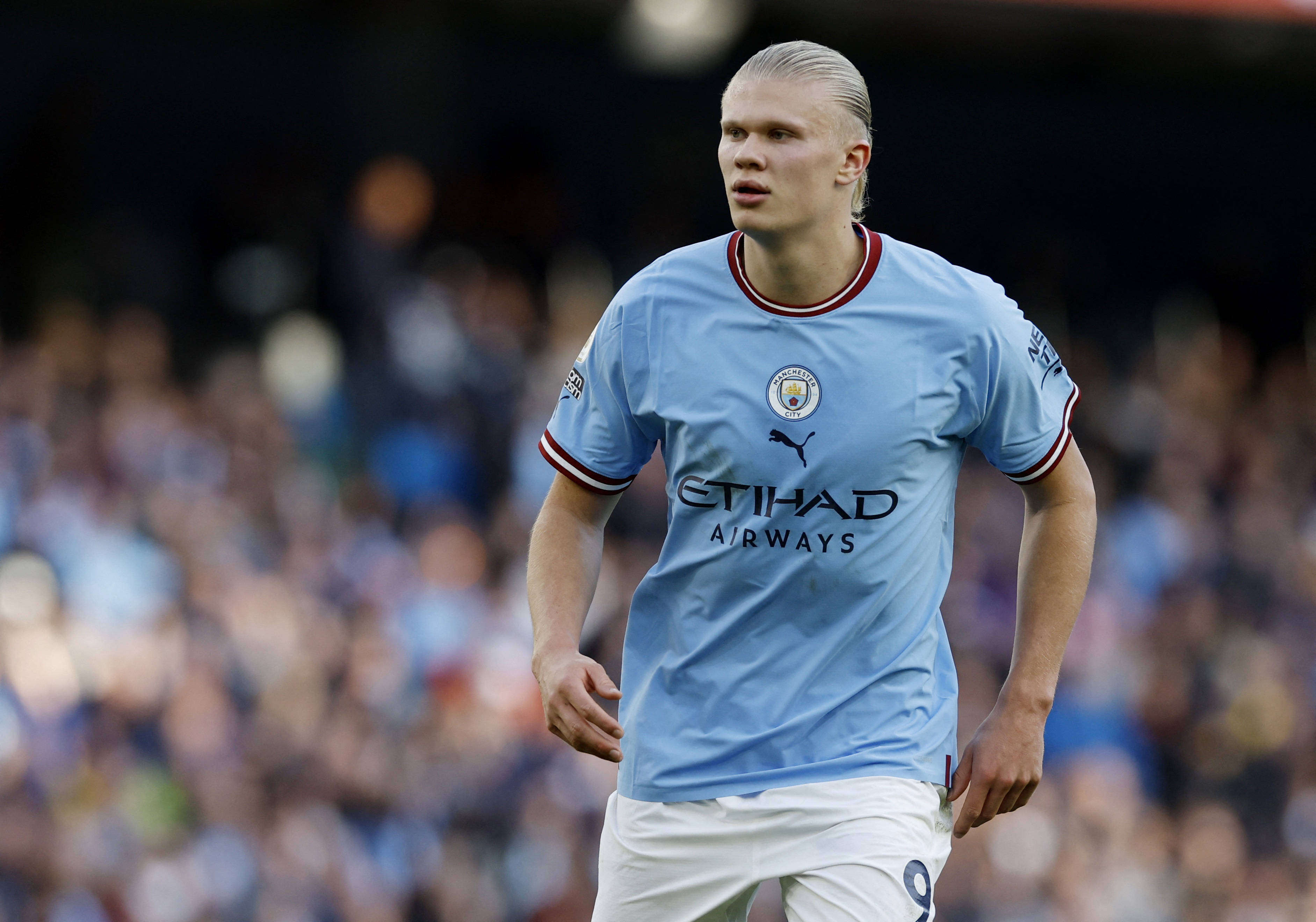 若本场复制 若本场复制