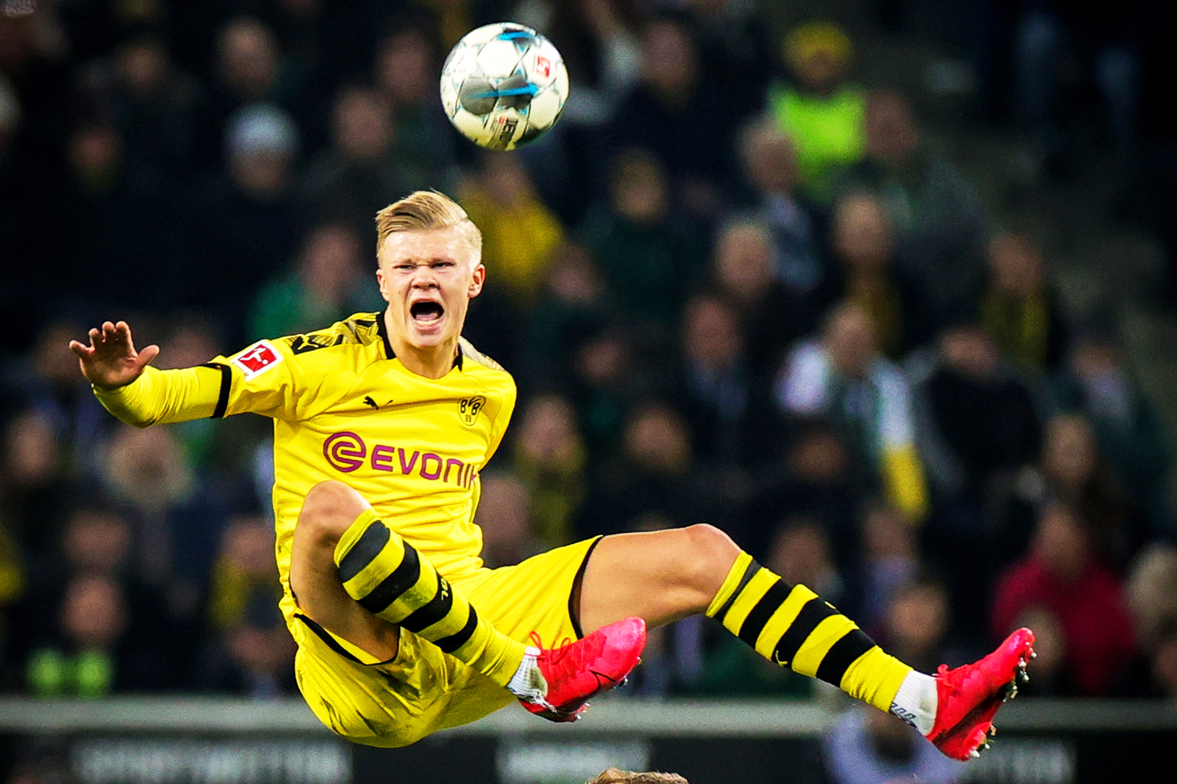 队年轻阵容 队年轻阵容